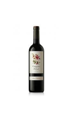 Camins del Priorat 2010