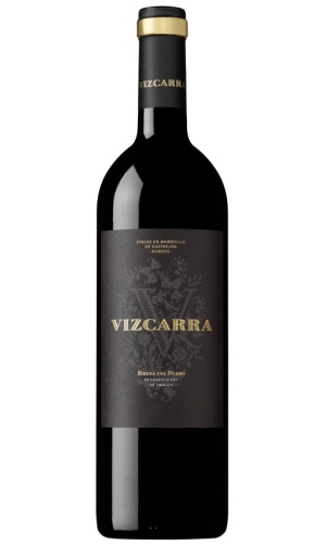 Vizcarra 2010