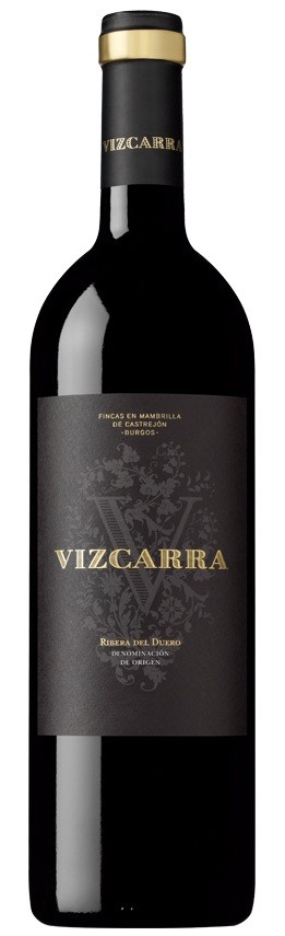 Vizcarra 2010