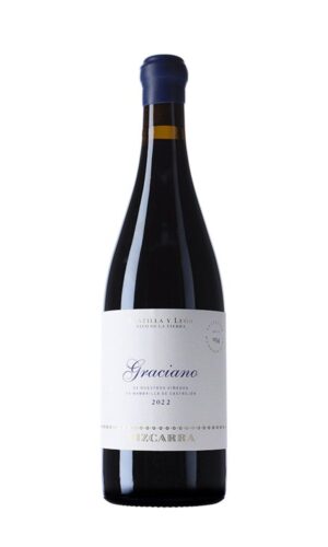 Vizcarra Graciano 2020