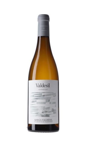 Valdesil Godello 2024 caja de 6 botellas