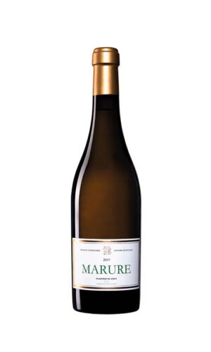 Allende Marure 2018