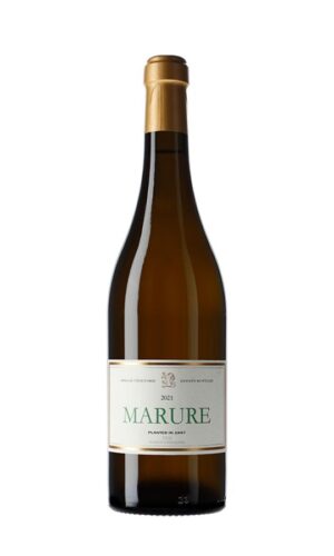 Allende Marure 2021